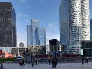 Total Executive Committee Appointments