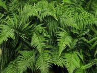 Test post - Multi docs