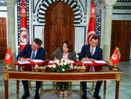 Green Hydrogen: TE H2 Partners with VERBUND on a Large Project in Tunisia