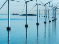 Total - Form 20-F 2020