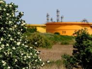 TotalEnergies Plateforme Zeeland Raffinerie