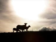 Centrale de valorisation du biogaz- Biogas upgrading plant