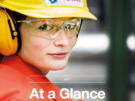 Total At a Glance 2017