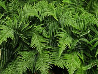 Test post - Multi docs