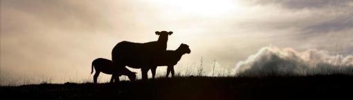 Centrale de valorisation du biogaz- Biogas upgrading plant