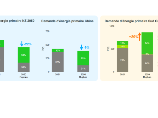 Infographie « Demande d'énergie primaire » - voir description détaillée ci-après