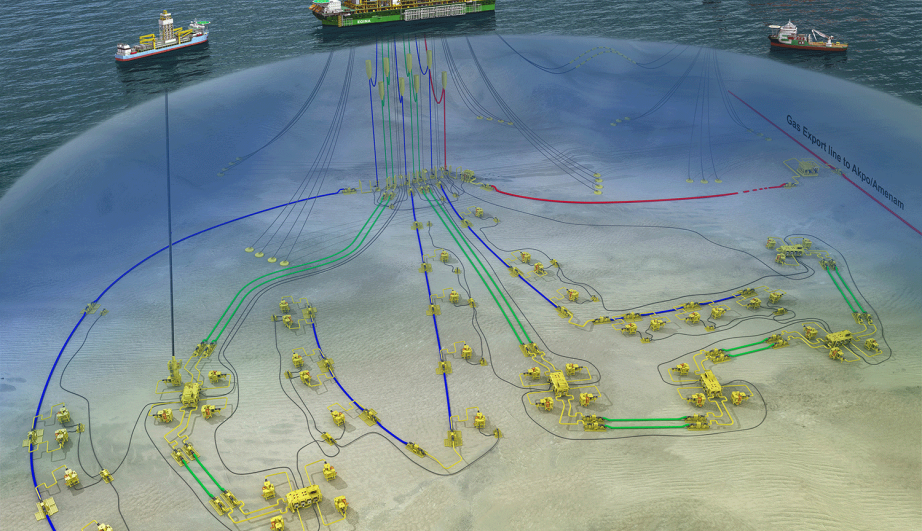 Schéma de développement du projet Egina, Nigeria